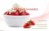 Mineral Makro Ppt Fix