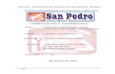AUDITORIA INFORMATICA EN EL AREA DE PLANIFICACION.docx