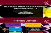 Pentosa Phospat Pathway Anis