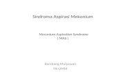 Meconium Aspiration Syndrome Sue Miller 10-26-02