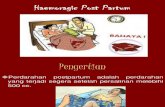PPT - Haemoragic Post Partum