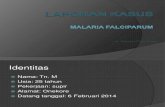 Steven Tirta Putra (Laporan Kasus Malaria Falciparum)