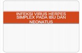Infeksi Virus Herpes Simplex Pada Ibu Dan Neonatus