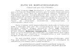 Guía de Mapuchedungun (1)
