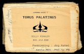 Lk 1 Torus Palatinus Billy