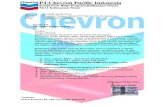 PT Chevron Pacific Indonesia-