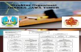 Struktur Organisasi Dinkes Jawa Timur