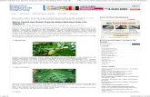 Bahan Herbal Dan Bahan Organik Dalam Budidaya Ikan Lele (Bagian 1) - Komunitas Budidaya Lele Sangkuriang