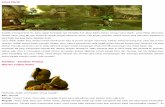 DragonNest Online Indonesia Maps 5 Lotus Marsh