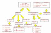 Histology saluran.pptx
