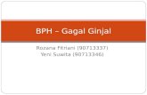 BPH - Gagal Ginjal (FL)