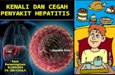 Penyuluhan Hepatitis