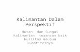 001 001 Kalimantan Dalam Perspektif - WIDODO W SAMBODO