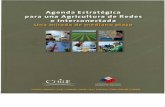 Agenda Estratégica Para Una Agricultura de Redes e Interconectada - Una Mirada de Mediano Plazo - MINAGRI