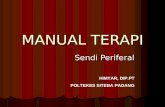 Manual Terapi