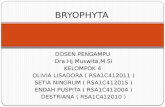 Bryophyta ( Anthocerotopsida ) Kelompok 4