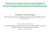 Tatang Hernas Soerawidjaja_Peran Kunci Bahan Bakar Nabati (BBN)