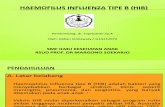 Ppt Haemofilus Influenza Tipe b (Hib