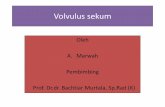 Volvulus Sekum - A. Marwah (PP)