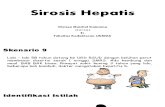 Sirosis Hepatis Blok 17 Chrissa M Kainama 102012363