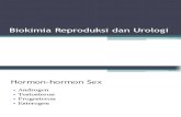 Biokimia Reproduksi dan Urologi.pptx