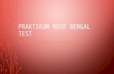 Praktikum Rose Bengal Test