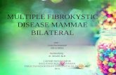 Fibrocystic Change Mamae