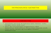 INTRODUKSI GENETIK.pptx