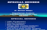 Special Senses (Komplit)