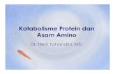 Katabolism Prot n a Amino 2013