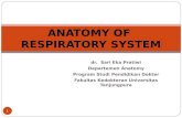 Anatomi Sistem Respirasi-sari