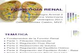 Fisiologia Sistema Renal GGC 1109