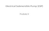 Electrical Submersible Pump ESP