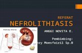Nefrolitiasis - Referat Dr Henry