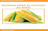Manual Para El Cultivo de Maiz