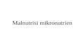 Malnutrisi mikronutrien