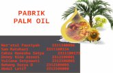 Pabrik Palm Oil New