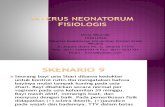 Ppt - Ikterus Neonatorum Fisiologis