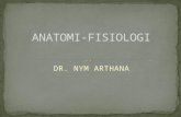 ANATOMI-FISIOLOGI Presentation
