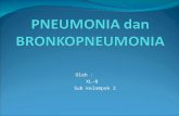 Agung- Pneumonia Dan Bp