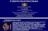 Fibrosarkoma Slide New