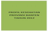 16 Profil Kes.prov.Banten 2012