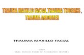 Trauma Maxillofacial Trauma Thorax, Abdomen