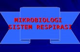 K5 - Mikrobiologi Sistem Respirasi