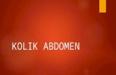 WC kolik Abdomen.ppt