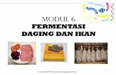 Modul 6. Fermentasi Daging Dan Ikan (2)