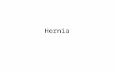Ppt Refrat Hernia