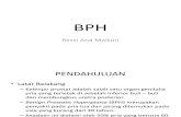 BPH ppt.pptx
