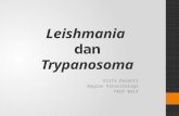 Leismania Trypanosoma Rev 3