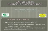 mikologi superfisial